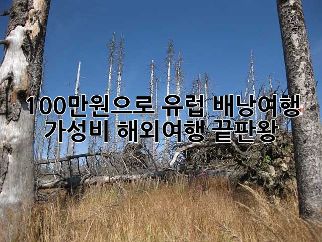 319731e7b23ce2aed831cc90a945e40c.jpg