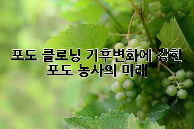 c9293323fb0cb259d52abc3467cf5360.jpg