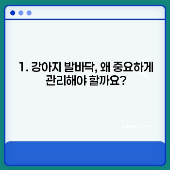 d2e68fc944cc1be60c5e0223c982aad3.jpg