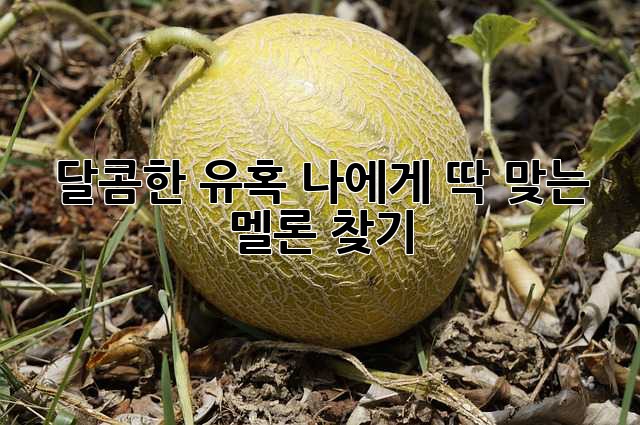 ecc7dc4577e86f55a768b61ae7eba701.jpg