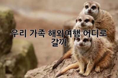 우리 가족 해외여행, 어디로 갈까? 🥰