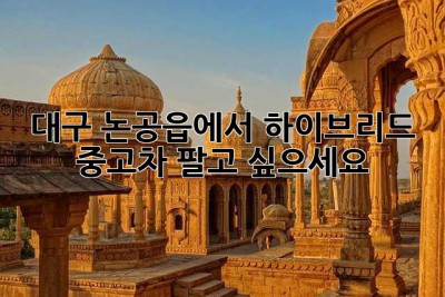 대구 논공읍에서 하이브리드 중고차 팔고 싶으세요?