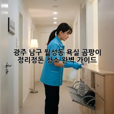 광주 남구 월성동 욕실 곰팡이, 정리정돈 청소 완벽 가이드