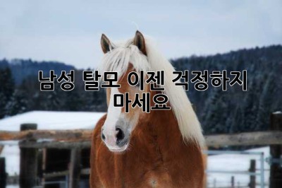 남성 탈모, 이젠 걱정하지 마세요!