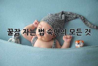 꿀잠 자는 법: 숙면의 모든 것