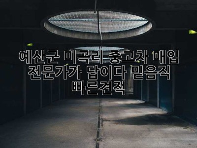 🚗💨 예산군 미곡리 중고차 매입, 전문가가 답이다! #믿음직 #빠른견적