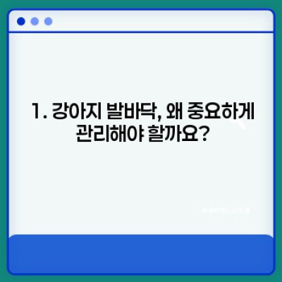강아지 발바닥 관리: 건강하고 행복한 발걸음을 위한 완벽 가이드